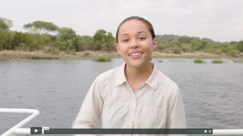 The Together For Good Wildlife Special Nickelodeon